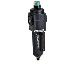 Exemplarische Darstellung