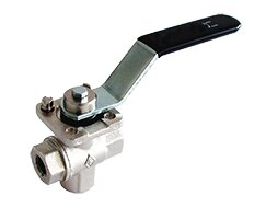 Exemplarische Darstellung