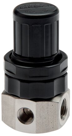 Exemplarische Darstellung: Edelstahl-Druckregler