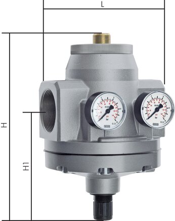 Exemplarische Darstellung: Druckregler, pilotgesteuert - Standard, Baureihe 8