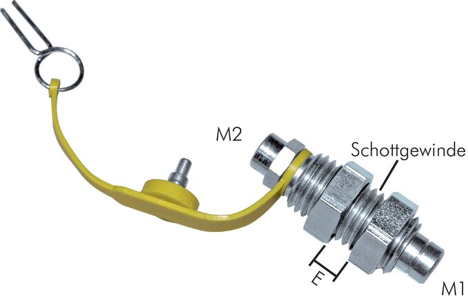 Exemplarische Darstellung: Schottverschraubung