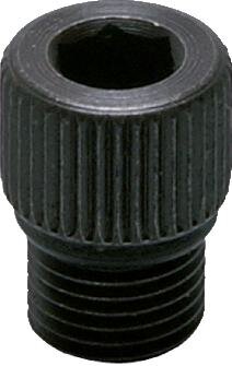 Exemplarische Darstellung: Ersatz-Verschlussschraube für Ölerbefüllung - Multifix & Standard, SCHRAUBE OL 1