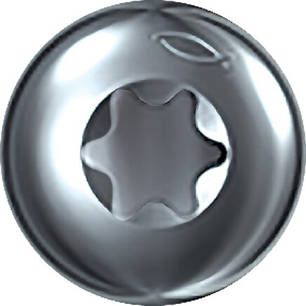 Detailansicht: TORX-Antrieb