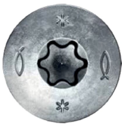 Detailansicht: TORX-Antrieb