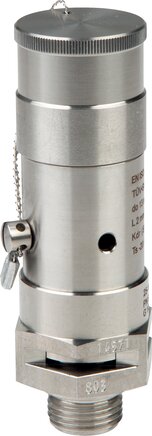 Exemplarische Darstellung: Edelstahl Sicherheitsventil